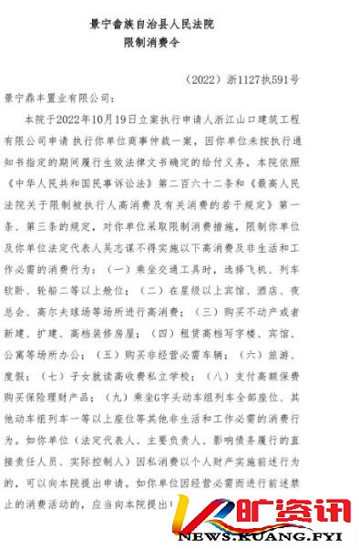 浙江景宁鼎丰置业一个被执行人吴志谋却摇身多